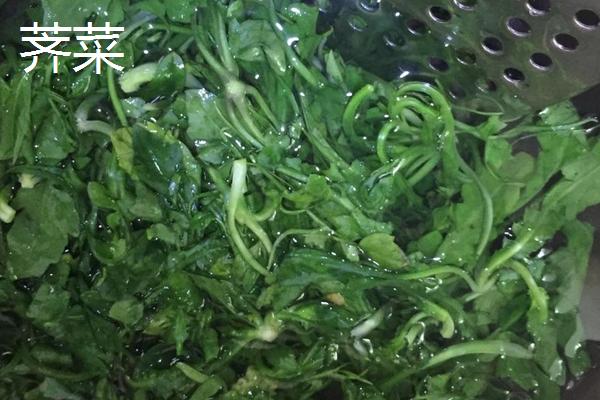 荠菜多久施肥一次