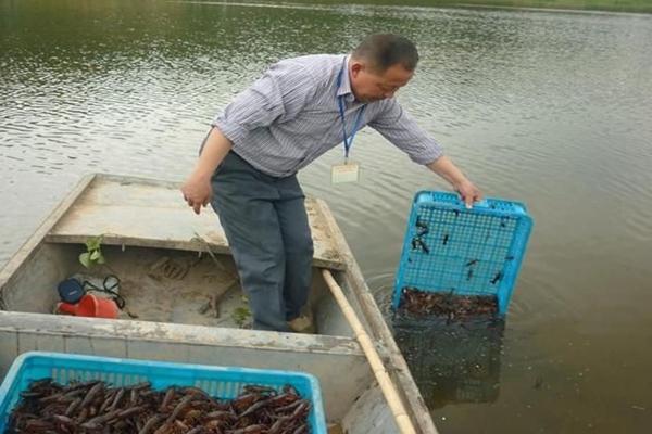 花甲死了能吃吗?吃了会怎么样?海鲜花甲的食用禁忌