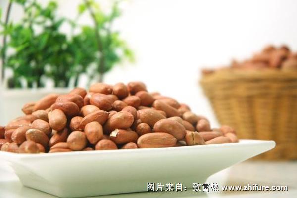 什么是花生早熟品种